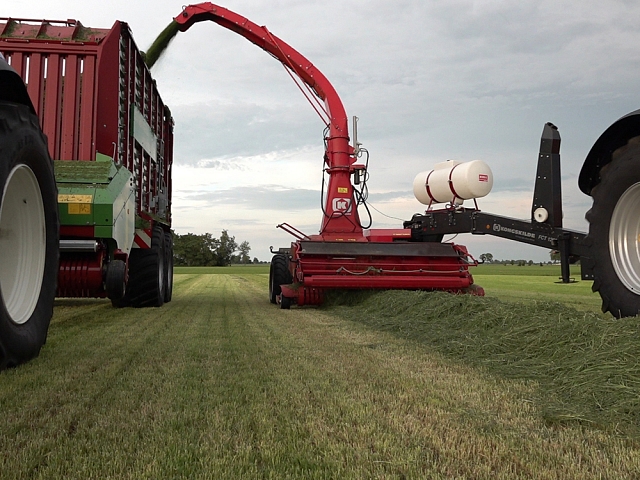 Autors: Kalnakrogs, SIA