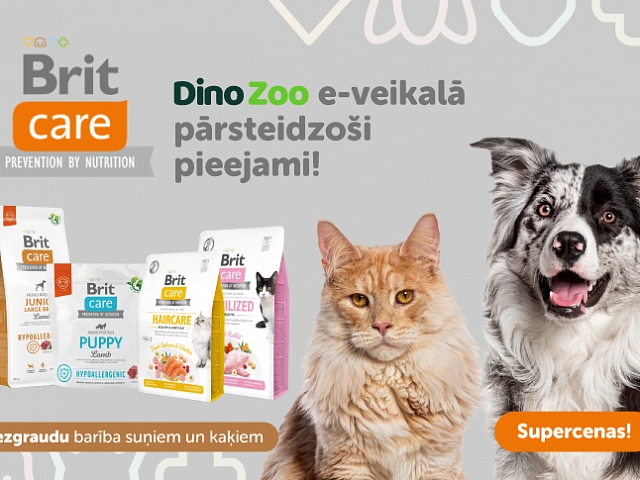 Autors: Dinozoo.lv