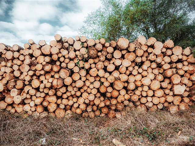 Autors: Publicitātes foto