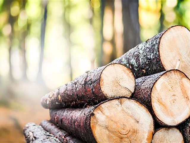 Autors: Publicitātes foto