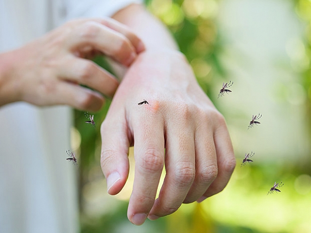 Autors: Shutterstock.com