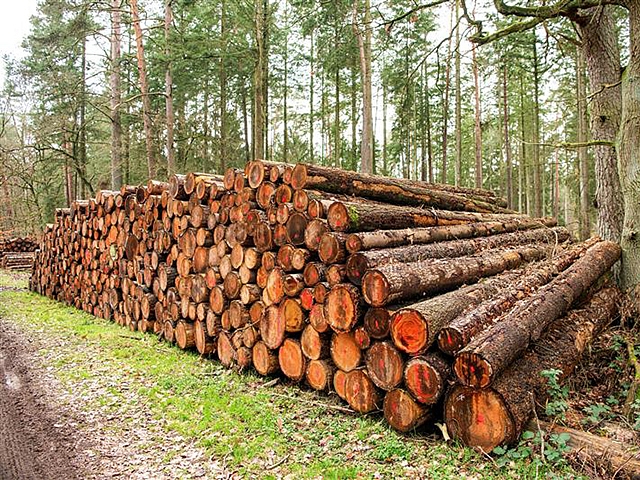 Autors: Publicitātes foto