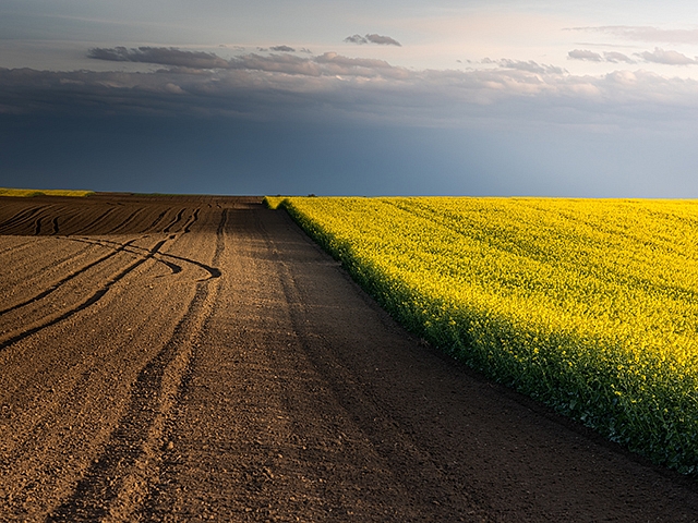 Autors: Shutterstock.com