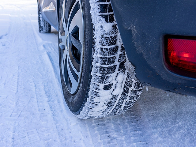 Autors: Shutterstock.com