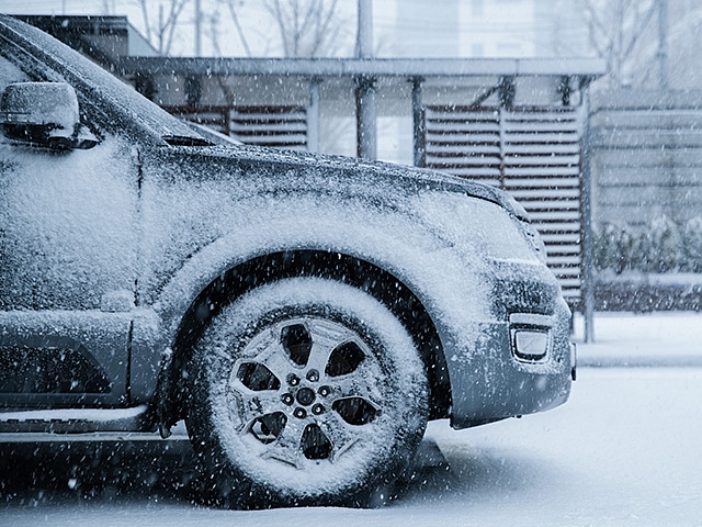 Autors: Shutterstock.com