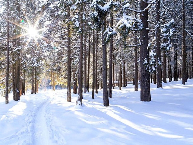 Autors: Publicitātes foto