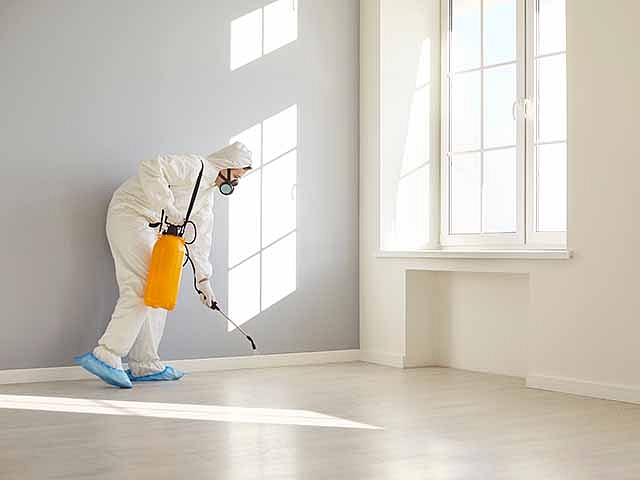 Autors: Shutterstock.com