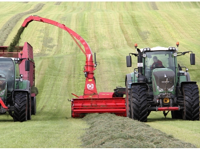 Autors: Kalnakrogs, SIA