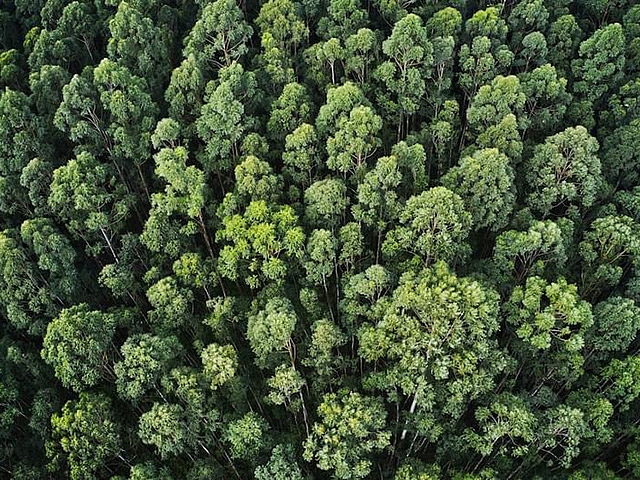 Autors: Publicitātes foto Autors: Publicitātes foto