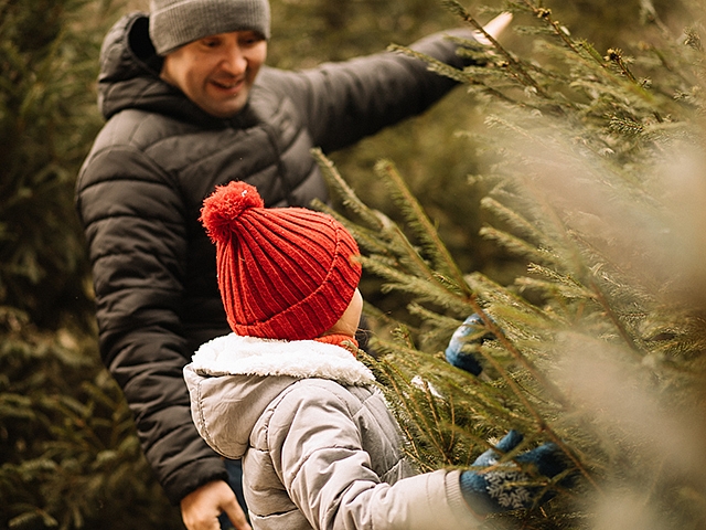 Autors: Shutterstock.com