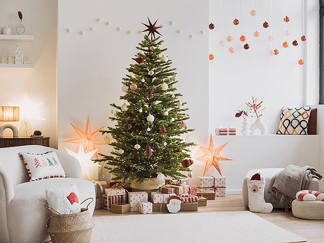 Autors: Shutterstock.com