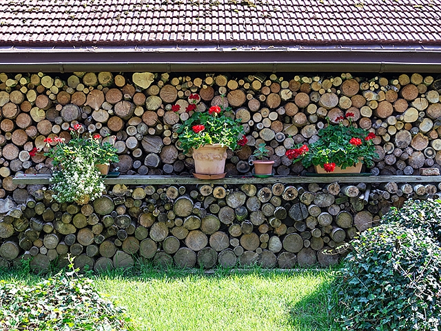 Autors: Shutterstock.com