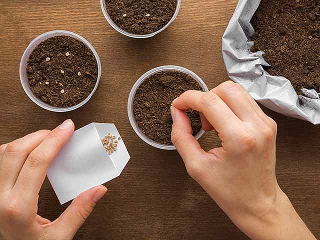 Autors: Shutterstock.com