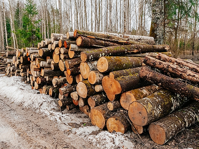 Autors: Shutterstock.com