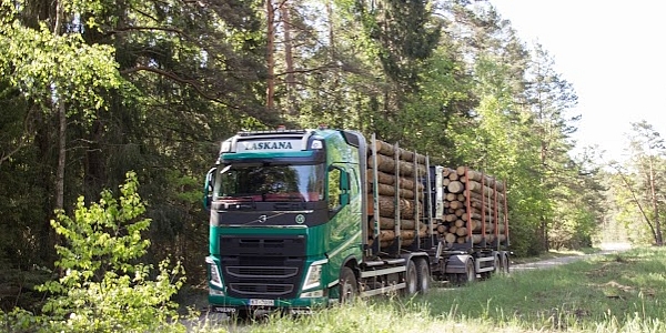 upload/152219/media/kokmateri-lu-iepirk-ana-un-transport-ana.jpg