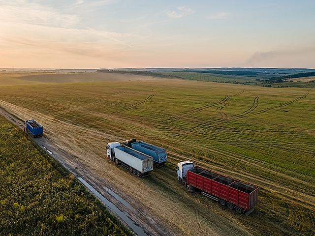 Autors: Shutterstock.com