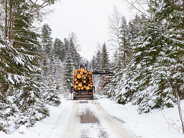 Autors: Shutterstock.com