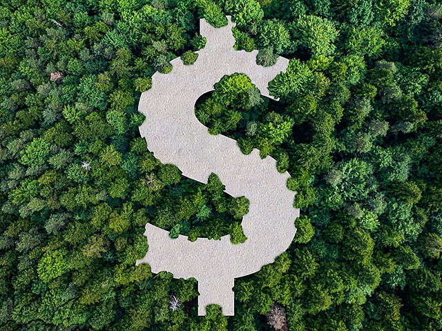 Autors: Shutterstock.com