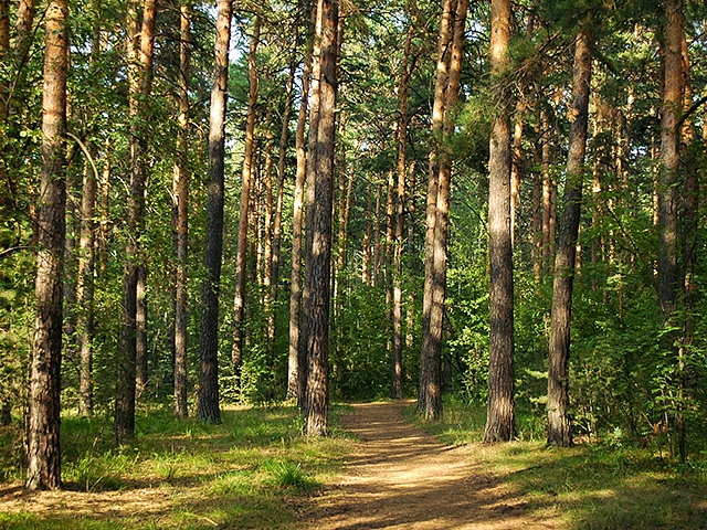 Autors: Shutterstock.com