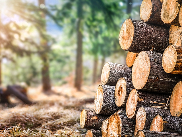 Autors: Shutterstock.com/g/Krasula