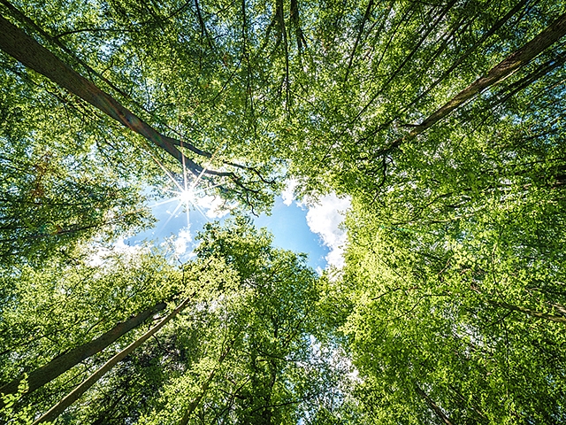 Autors: Shutterstock.com