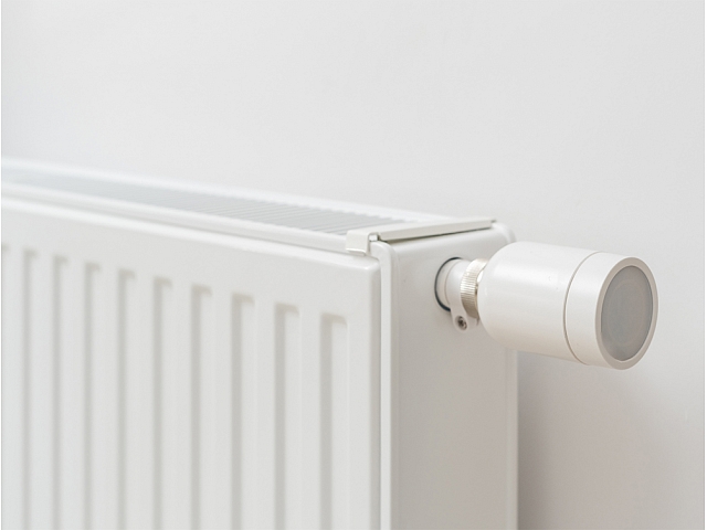 Autors: shutterstock.com Autors: shutterstock.com