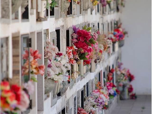 Foto: shutterstock.com