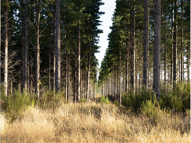 Autors: shutterstock.com