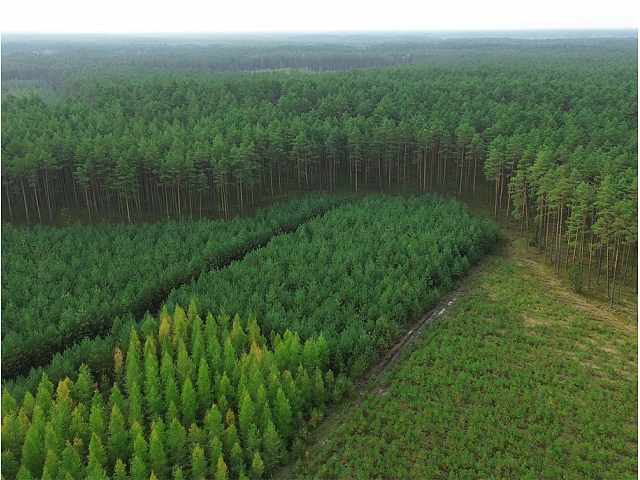 Autors: shutterstock.com