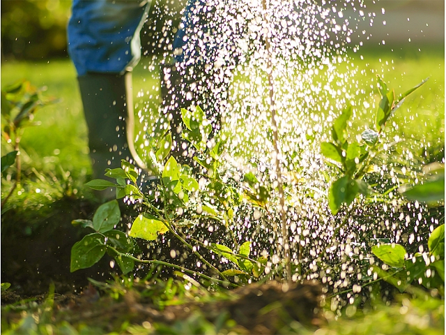 Autors: shutterstock.com