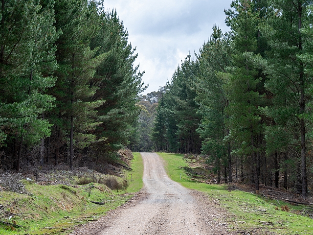 Autors: shutterstock.com