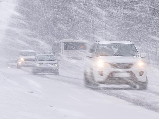 Autors: shutterstock.com