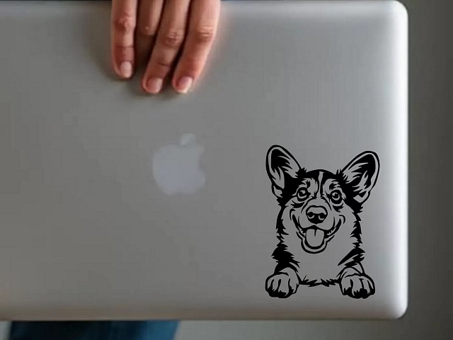 Autors: Publicitātes foto