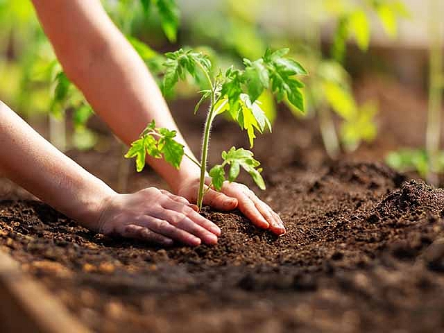 Autors: Shutterstock.com