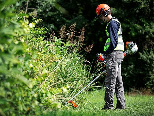 Autors: Publicitātes foto