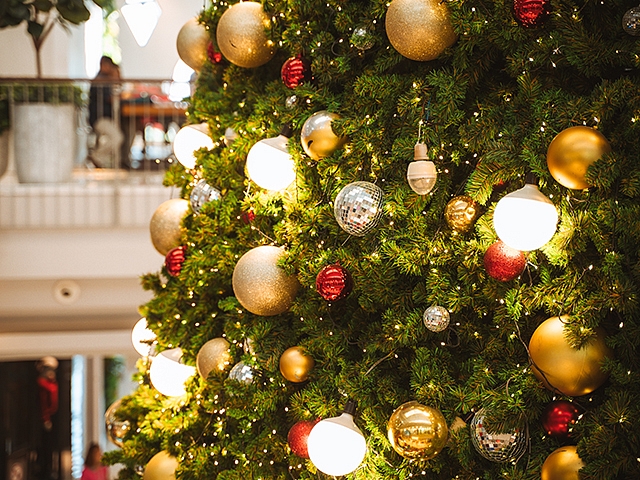 Autors: Shutterstock.com