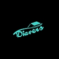 Diavers, LTD, roof, roofer works