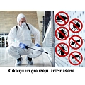 Dezinsekta, IK