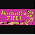 Marantas Ziedi