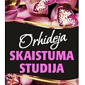 Студия Orhideja