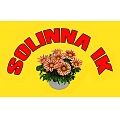 Solinna, IK