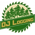 DJ Logging, SIA