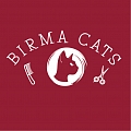 Birma CATS, The first cat SPA salon in LATVIA