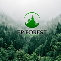 EP Forest, ООО