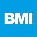 BMI Latvija, LTD, Roofing and chimneys