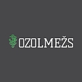 Ozolmežs, LTD