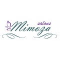 Mimoza, Ltd., Gift and souvenir shop in Jekabpils