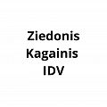 Ziedonis Kagainis IDV