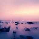 Nature photos