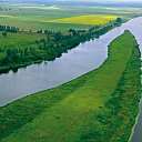 nature photo